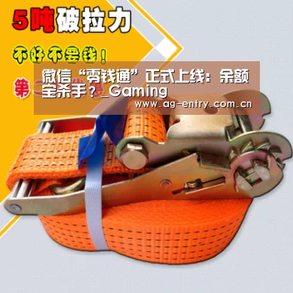 微信“零钱通”正式上线：余额宝杀手？_Gaming(图3)