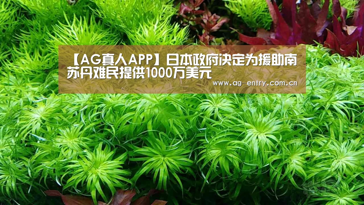 AG真人APP