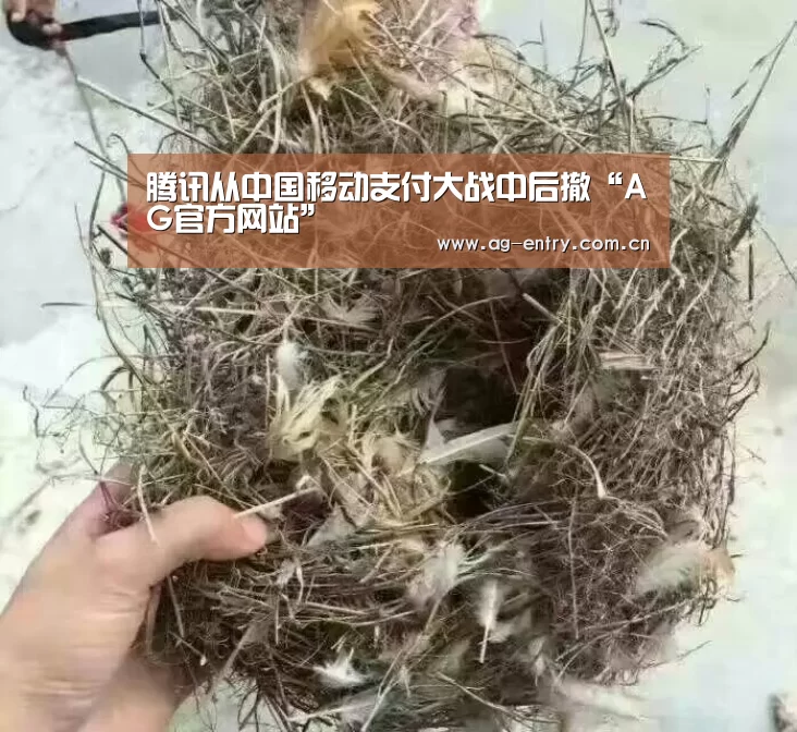 AG真人APP
