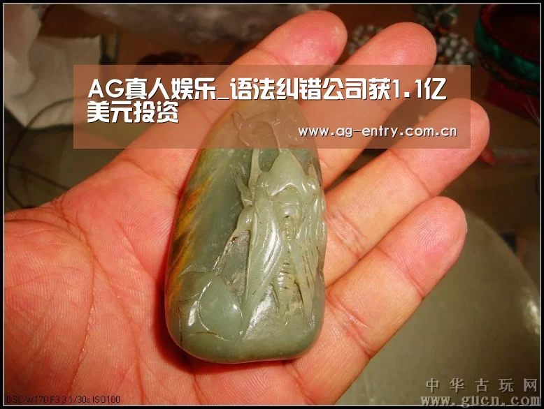 AG真人娱乐_语法纠错公司获1.1亿美元投资(图1)