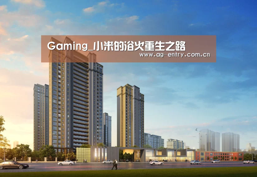 Gaming_小米的浴火重生之路(图2)