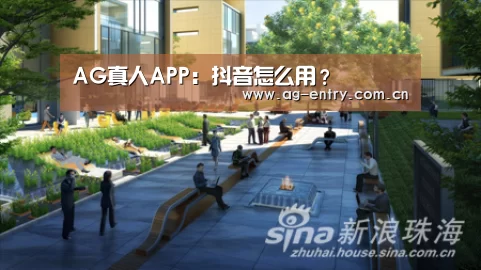 AG官方网站