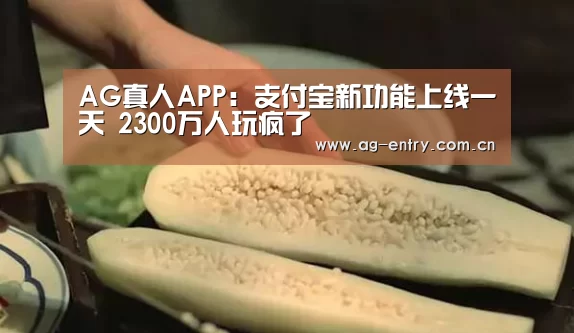 AG官方网站