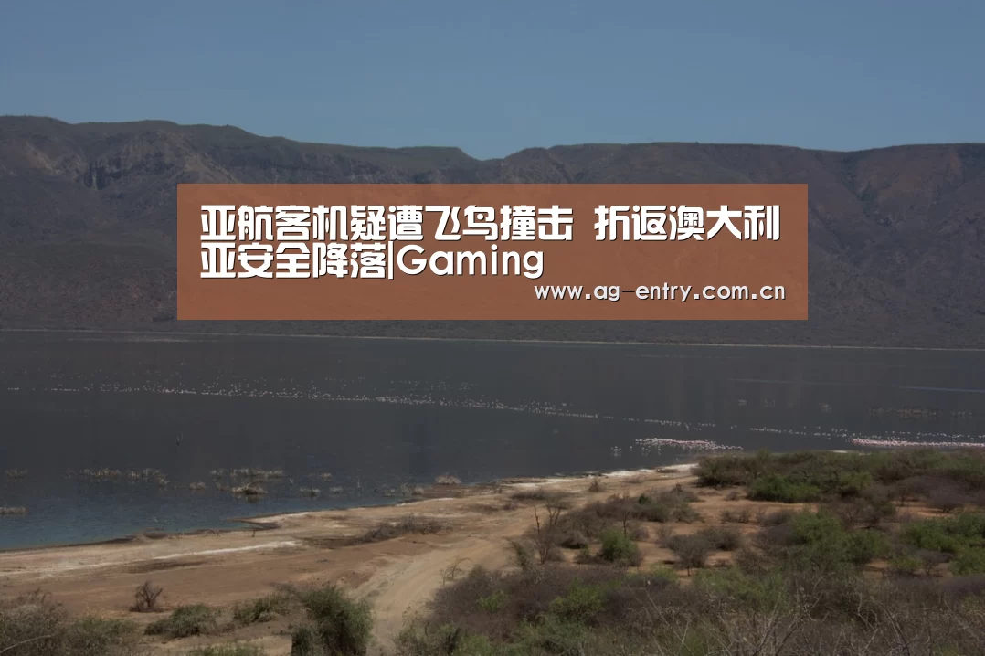 AG官方网站