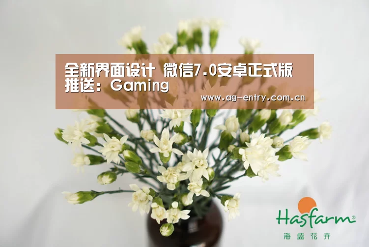 全新界面设计 微信7.0安卓正式版推送：Gaming(图4)