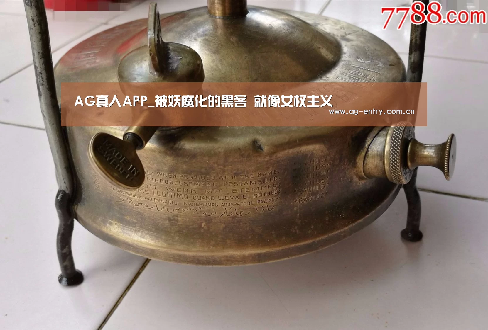 AG真人APP_被妖魔化的黑客 就像女权主义(图3)