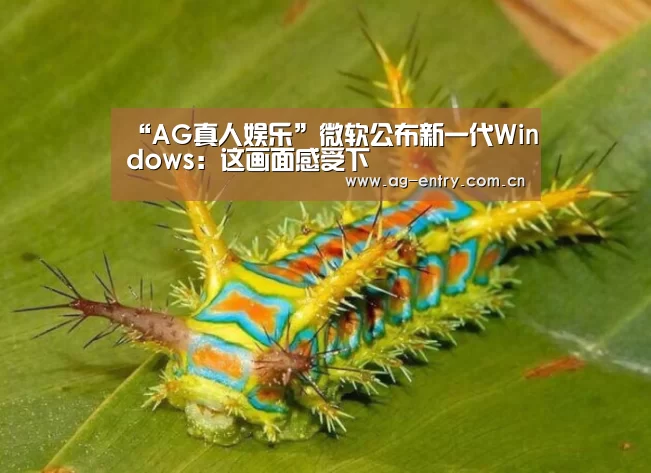 “AG真人娱乐”微软公布新一代Windows:这画面感受下(图1) “AG真人娱乐”微软公布新一代Windows:这画面感受下(图1)