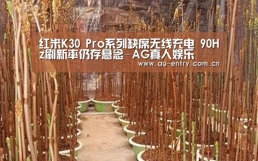 AG官方网站
