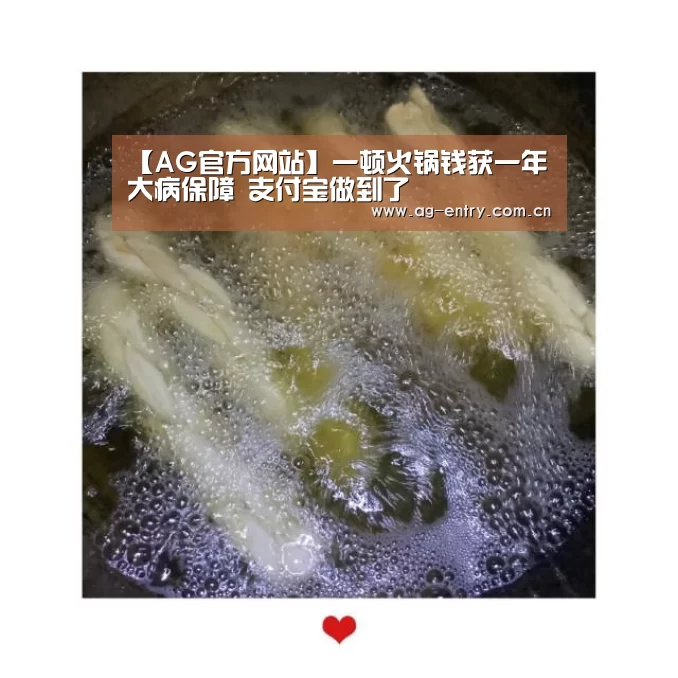 【AG官方网站】一顿火锅钱获一年大病保障 支付宝做到了(图1) AG真人APP