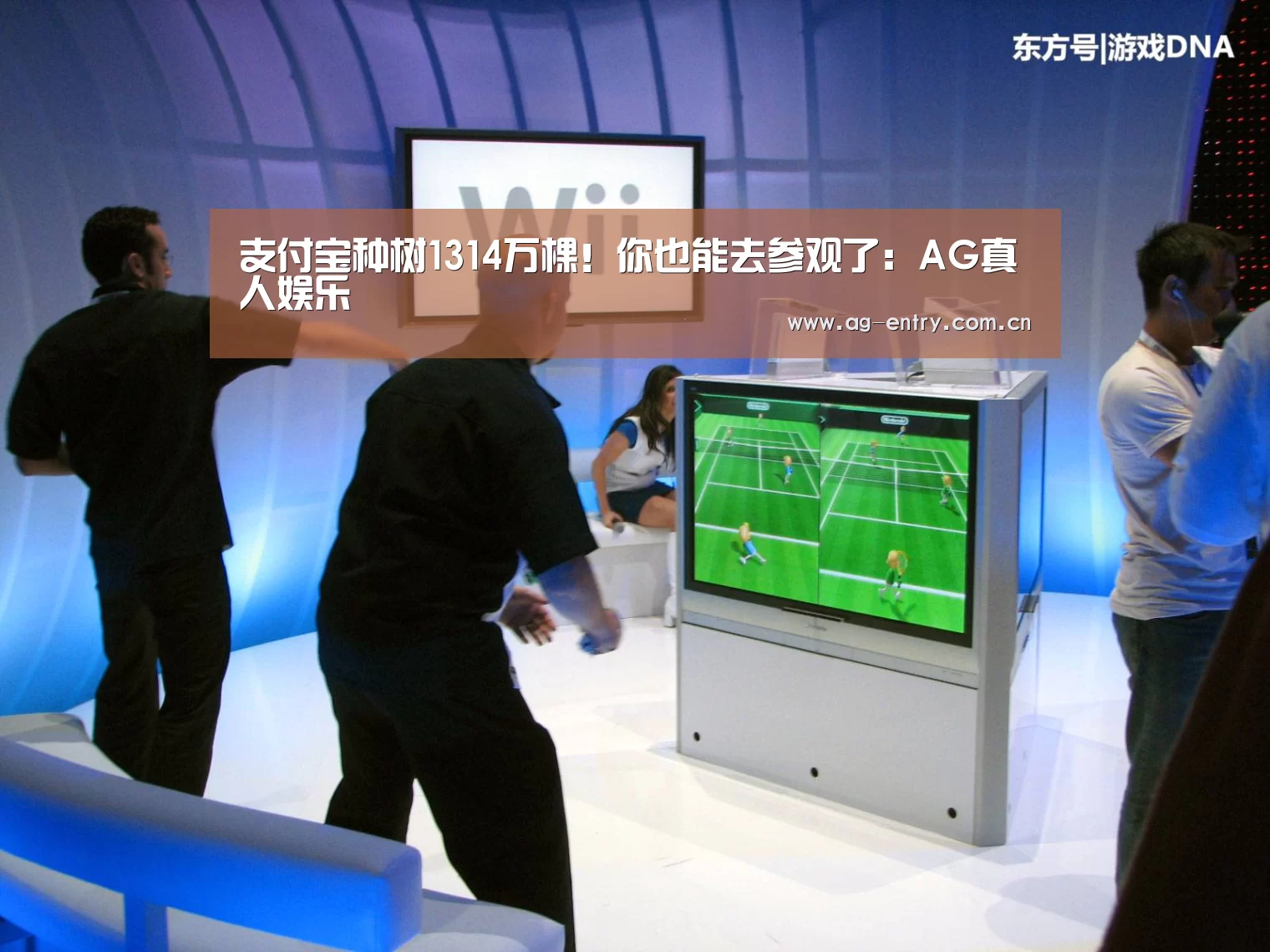支付宝种树1314万棵!你也能去参观了:AG真人娱乐(图1) AG真人APP