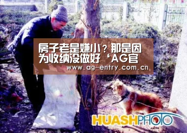 AG官方网站