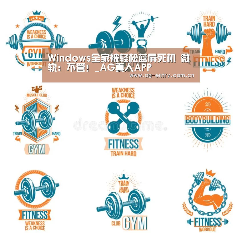 Windows全家被轻松蓝屏死机 微软:不管!_AG真人APP(图3) AG官方网站