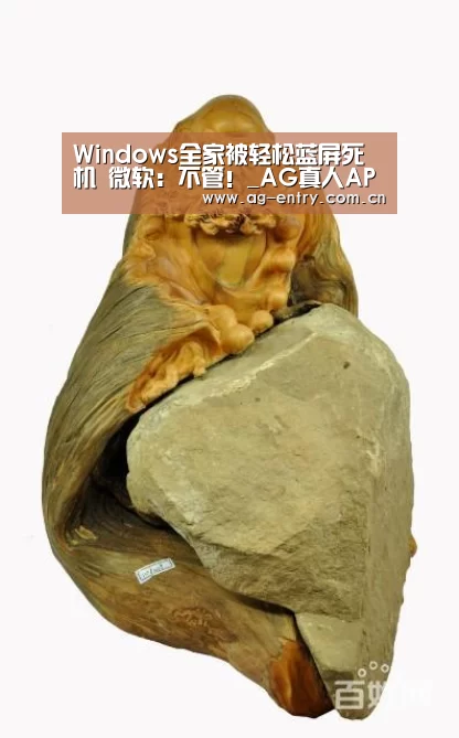Windows全家被轻松蓝屏死机 微软:不管!_AG真人APP(图4) AG真人娱乐