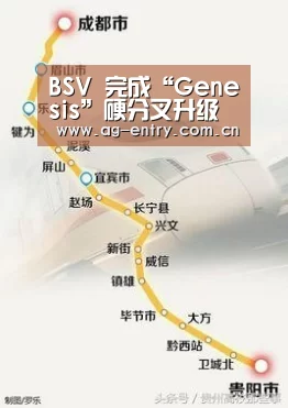 AG官方网站