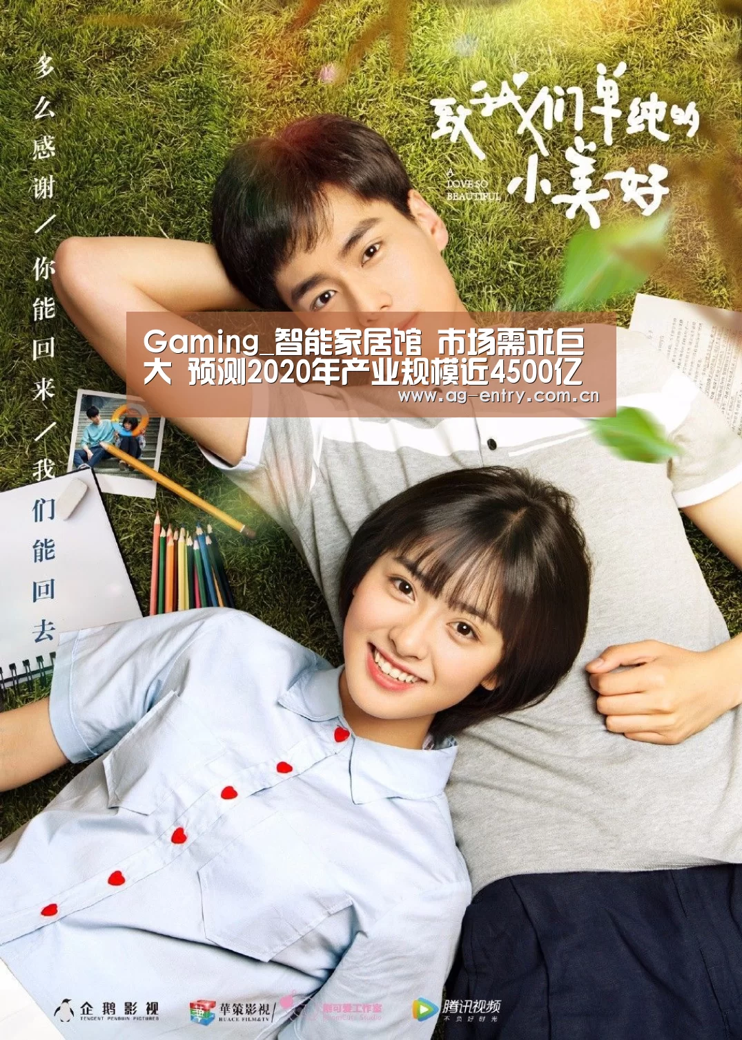 AG官方网站