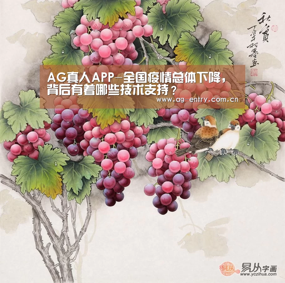 AG真人APP-全国疫情总体下降，背后有着哪些技术支持？(图2)
