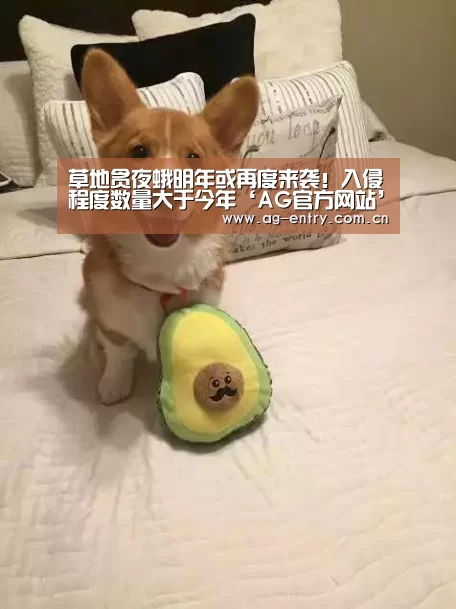 AG真人娱乐