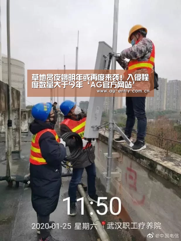 AG真人APP